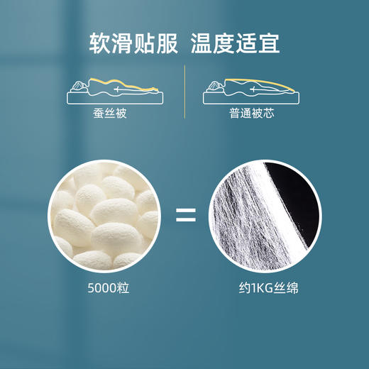 佳丽斯100支全棉润心桑蚕丝被双人春秋被冬被 商品图2