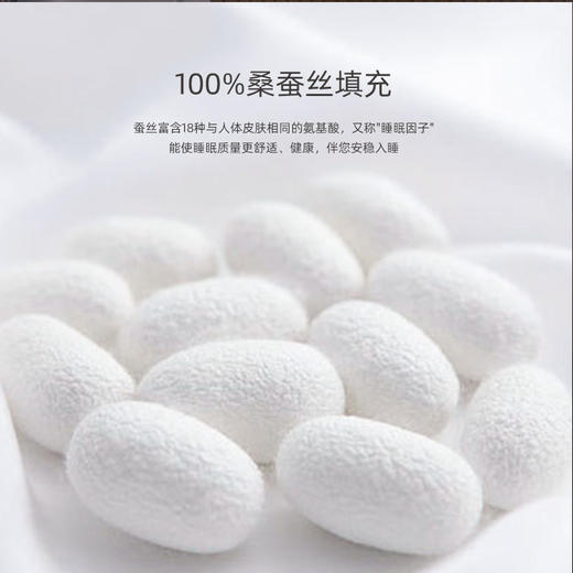 佳丽斯100支全棉润心桑蚕丝被双人春秋被冬被 商品图1