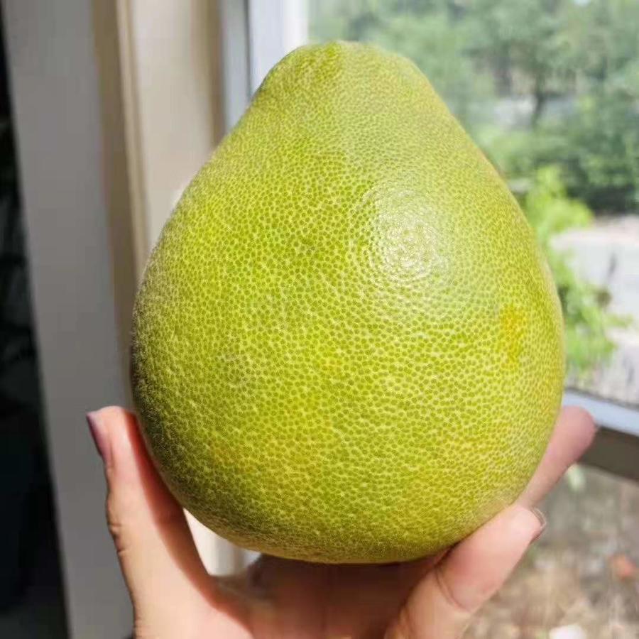 限时福利~【台湾老树文旦柚】仅仅切开表皮,就清香四溢.