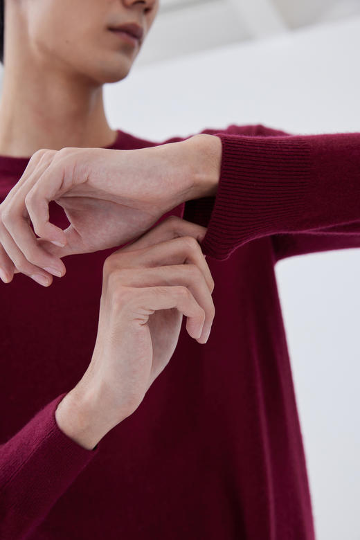 秋冬 圆领羊绒男套衫 SJF16M089N 商品图4