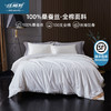 佳丽斯100支全棉润心桑蚕丝被双人春秋被冬被 商品缩略图0