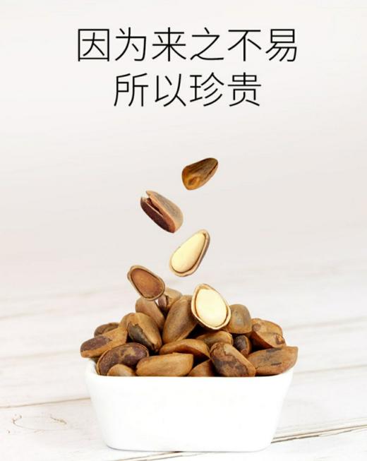 基地直发 下单48小时发出   森小子·黑龙江大兴安岭榛子松子 （原味）【规格】500克/袋 商品图2