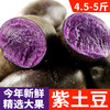 【秒杀】云南高原紫土豆马铃薯紫洋芋4.5-5斤 商品缩略图0