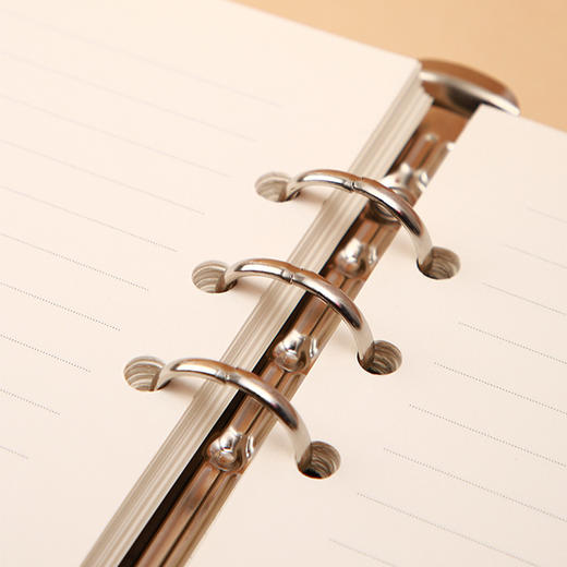 卡杰A5活页本时光与花密码本CA5H0825-8带锁日记本笔记本子小清新大学生简约 商品图5