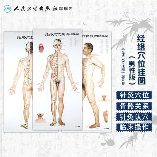经络穴位挂图（男性版） 人卫社参考书 商品图1