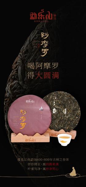 【阿摩罗】一杯一般若，一叶一菩提