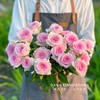 【AB级洛神玫瑰.第二份减10元】10支/份 长约60-65cm 商品缩略图3