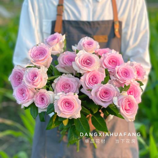 【AB级洛神玫瑰.第二份减10元】10支/份 长约60-65cm 商品图3