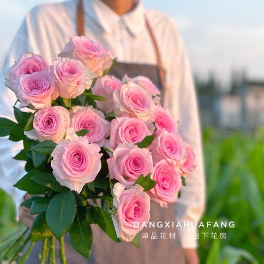 【AB级洛神玫瑰.第二份减10元】10支/份 长约60-65cm 商品图4