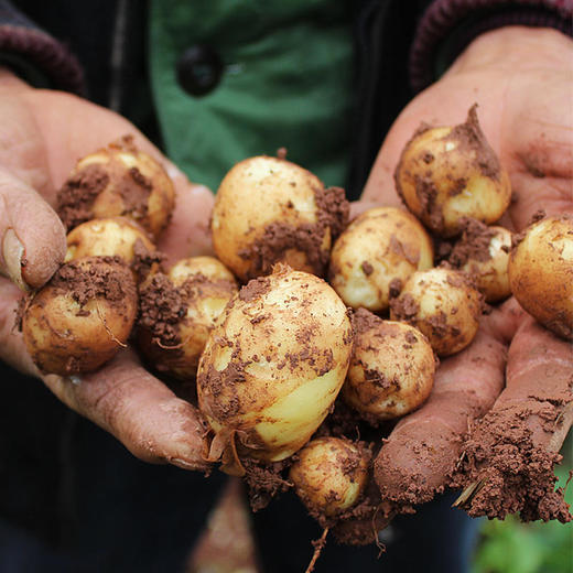 购物车005 商品图12