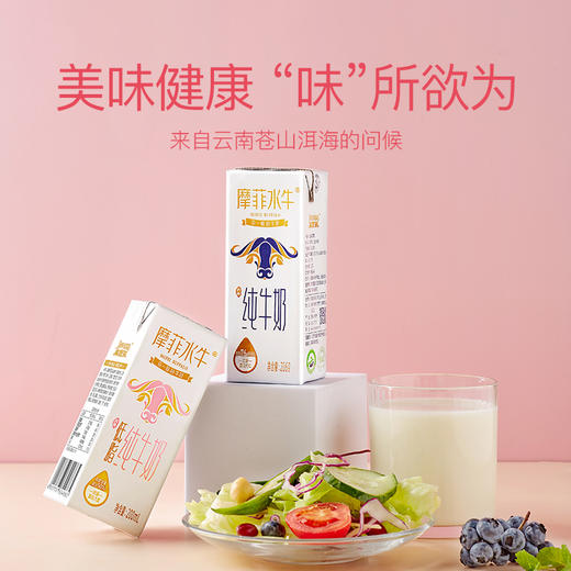 7.6g乳蛋白/盒 摩菲水牛奶超级香浓好喝 小时候的味道 来自大理海拔2000多米的天然牧场 不加糖不加水 0添加 商品图0