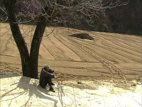  《牛铃之声》在冷冻里看见绿色的温暖纪录片 