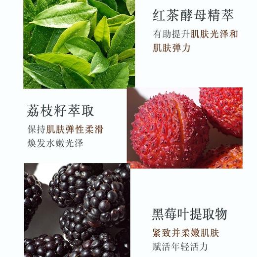 法国 Fresh馥蕾诗 白罐红茶凝时修护+黑罐塑颜紧致涂抹面膜 100ml 商品图6