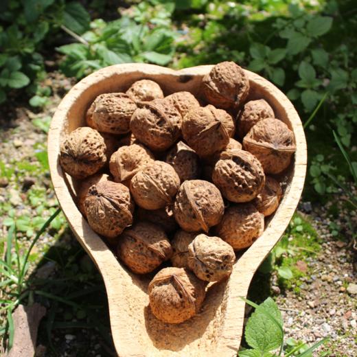 『云南野生甜味核桃』深山原生态干核桃，果仁醇香，不涩口、更油润，嚼起来有韧劲 商品图4