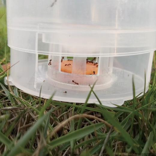 红火蚁采集器、监测器（10个150元，包邮) 商品图3