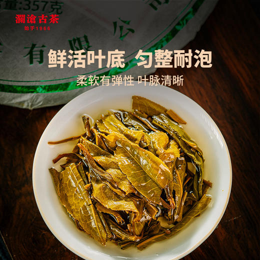 澜沧古茶2017年景迈古韵圆茶普洱茶普洱生茶357g 商品图4