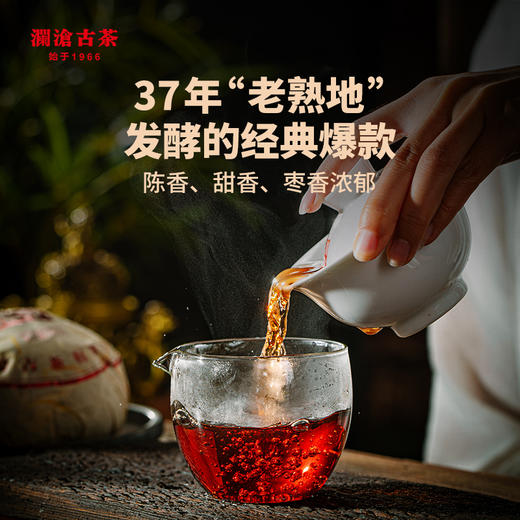 【老茶推荐】澜沧古茶2016年八壹金瓜500g 商品图5