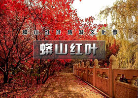 【蟒山红叶】登山台阶 一路红叶行