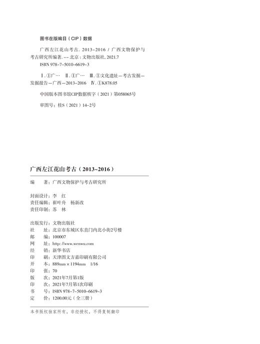 广西左江花山考古（2013～2016） 商品图1