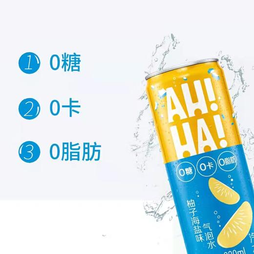 美丽市场-小宇宙柚子海盐味气泡水330ml 商品图0