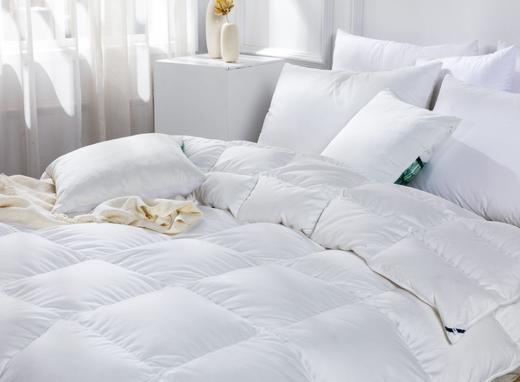 【远梦】奢享95%朵绒鹅绒被 商品图1