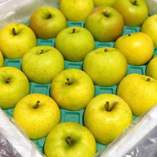 【日本青森】正宗日本青森苹果，开箱飘香，香味浓郁，来自日本的青森县，地地道道的青森苹果！ 商品图0