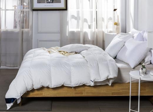 【远梦】奢享95%朵绒鹅绒被 商品图2