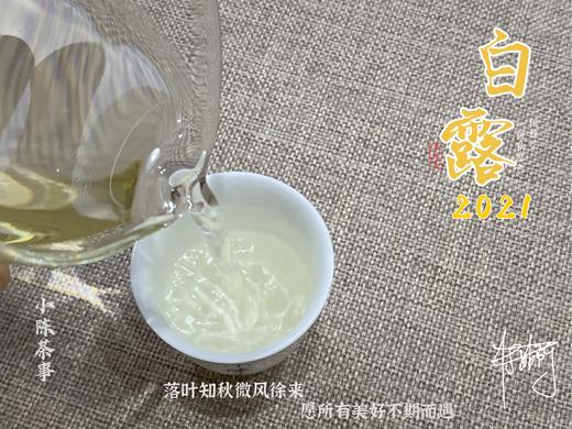 【1斤装】带着花蜜般的鲜甜，2021白露茶带来独特甜花香 商品图7
