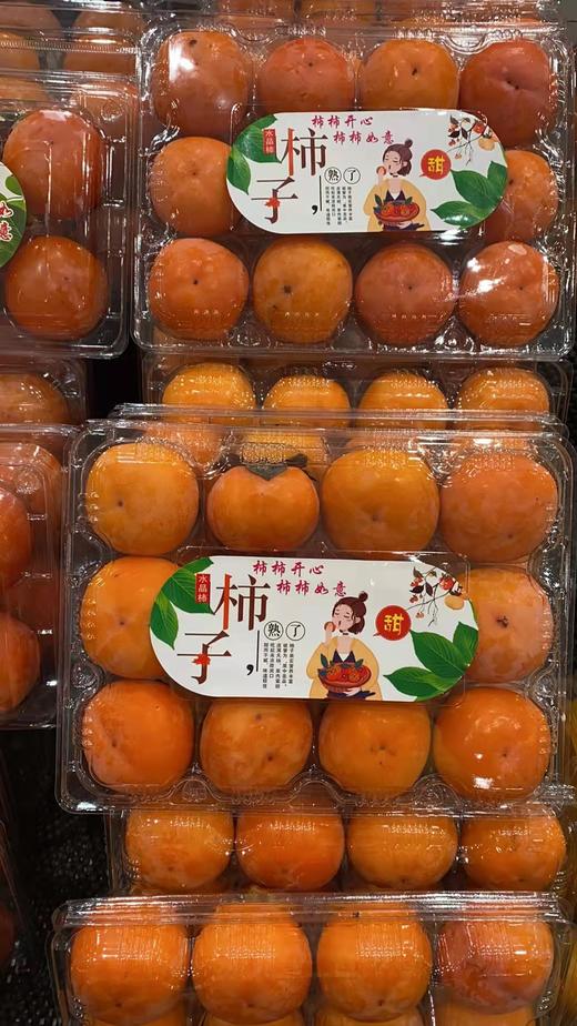 美丽市场-金钱柿12个【商品以实物为准】 商品图2