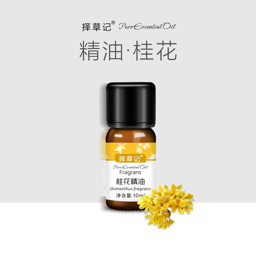 【开放下单】择草记桂花原精 商品图0