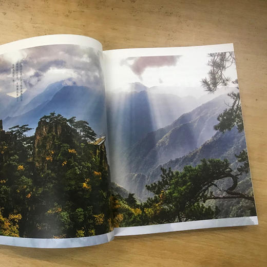 【“云端书展”专区】独坐羊狮慕  安然/著  非虚构 散文集 文学 自然主义 广西师范大学出版社   商品图2
