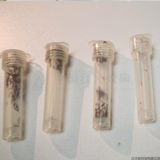 红火蚁采集器、监测器（10个150元，包邮) 商品图4