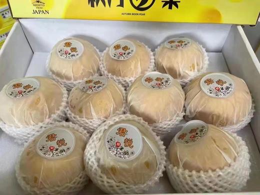 美丽市场-秋月梨约8斤【商品以实物为准】 商品图2