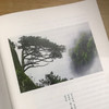 【“云端书展”专区】独坐羊狮慕  安然/著  非虚构 散文集 文学 自然主义 广西师范大学出版社   商品缩略图4