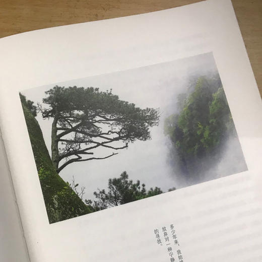 【“云端书展”专区】独坐羊狮慕  安然/著  非虚构 散文集 文学 自然主义 广西师范大学出版社   商品图4