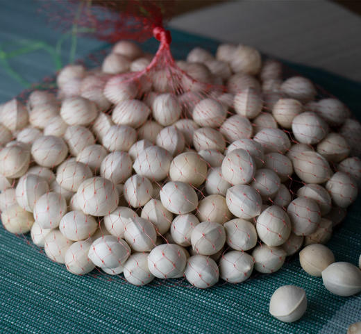 【银杏果】果肉浅绿色/黄色 果肉饱满 糯香好滋味 云南腾冲新鲜老品种带壳糯白果 银杏果 500克/袋 2种规格任选 商品图4