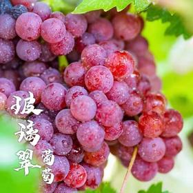 美丽市场-玻璃翠净重10斤【商品以实物为准】