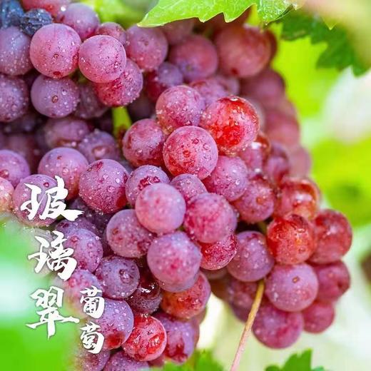 美丽市场-玻璃翠净重10斤【商品以实物为准】 商品图0