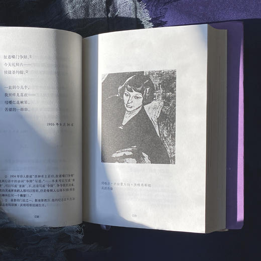 文学纪念碑  致一百年以后的你：茨维塔耶娃诗选 商品图4