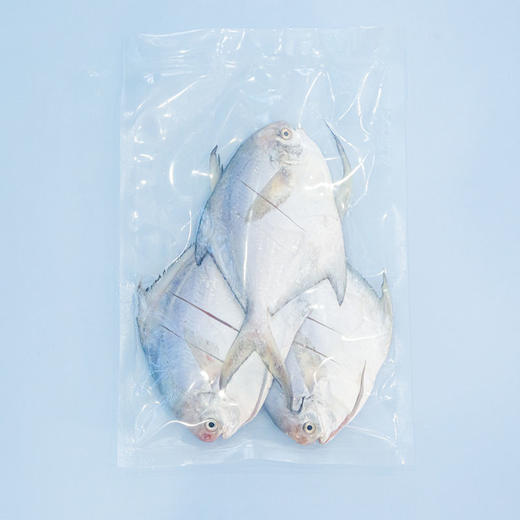 【8分钟轻松烹饪】至鲜精品轻调味流网鲳鱼270g-3条 商品图3