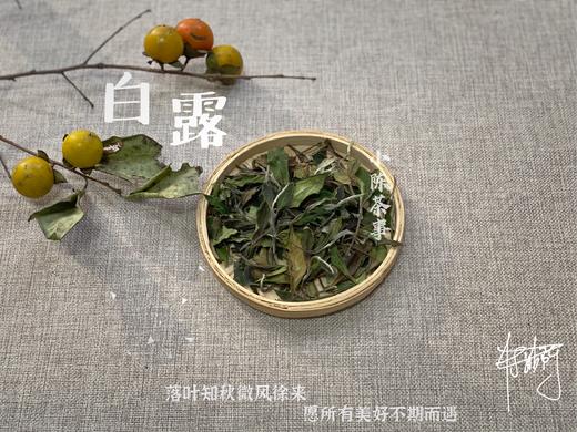 【1斤装】带着花蜜般的鲜甜，2021白露茶带来独特甜花香 商品图0