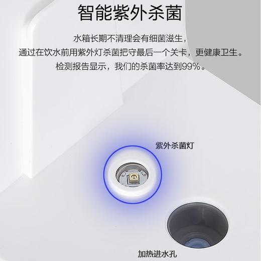 亚摩斯(AMOS)即热式饮水机AS-WH22B 商品图8