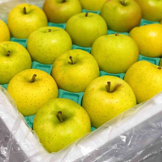 【日本青森】正宗日本青森苹果，开箱飘香，香味浓郁，来自日本的青森县，地地道道的青森苹果！ 商品图2