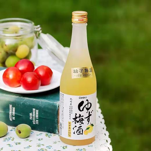 美丽市场-大关牌柚子梅酒（配置酒）500毫升 商品图0