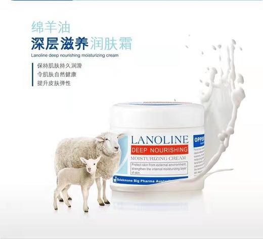 澳佩尔-深层滋养绵羊油润肤霜80g 9350364002358 1*12 商品图1