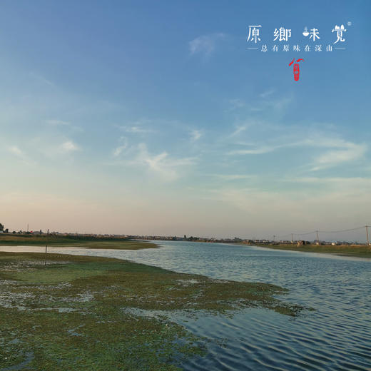 【买一箱送一只2.5两母蟹】有机大闸蟹（基地直发-顺丰包邮） | 多种规格，来自安徽当涂，生产者：霍大文【合作生产，公平贸易】 商品图8