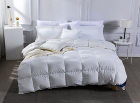 【远梦】奢享95%红嘴雁羽绒被