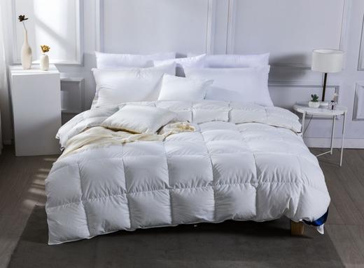 【远梦】奢享95%红嘴雁羽绒被 商品图0