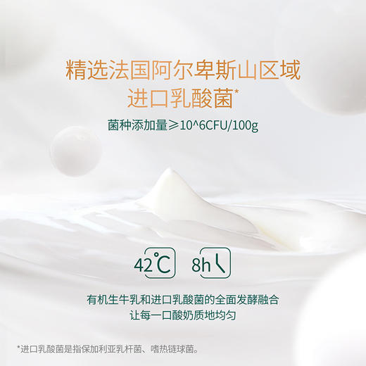 蒙牛圣牧有机风味酸牛奶200g*10盒 商品图4