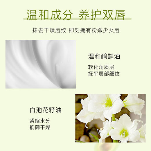 【润出粉嫩少女唇】娇润双唇 加倍呵护 润泽修护 淡化唇纹 扬美牛油果修护唇乳 商品图6